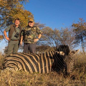 Zebra Hunting South Africa