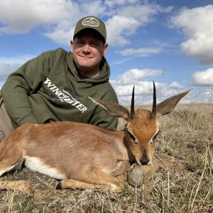 Steenbok Hunting South Africa