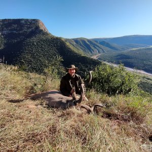 Kudu Hunting Eastern Cape South Africa