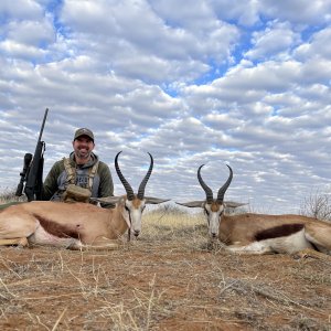 Springbok Hunt Namibia