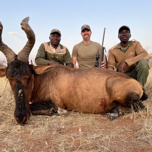 Red Hartebeest Hunt Namibia