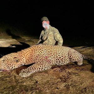 Leopard Hunt Tanzania