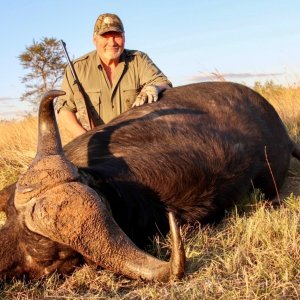 Buffalo Hunting South Africa