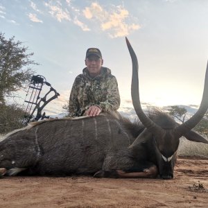 Bowhunting Nyala