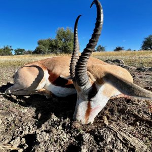 Springbuck with Zana Botes Safari