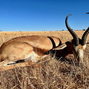 Springbuck with Zana Botes Safari