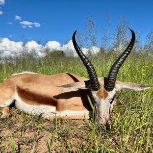 Springbuck with Zana Botes Safari