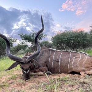 Kudu with Zana Botes Safari