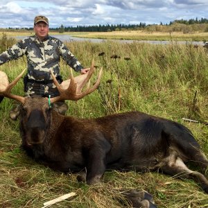 Moose Hunting Alaska