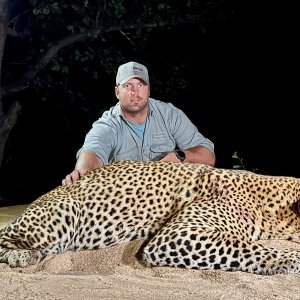 Leopard Hunt Namibia