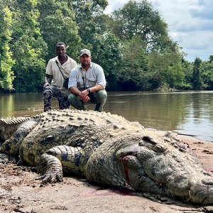 Crocodile Hunt Namibia