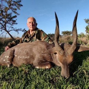 Bushbuck Hunting Eastern Cape South Africa