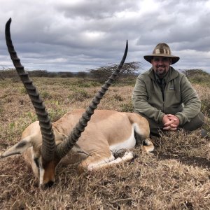 Grant's Gazelle Hunting Tanzania