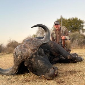 Buffalo Hunting South Africa