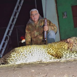 Leopard Southern Gujarat