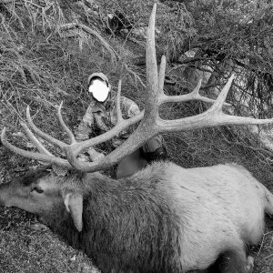 Elk Hunting Idaho