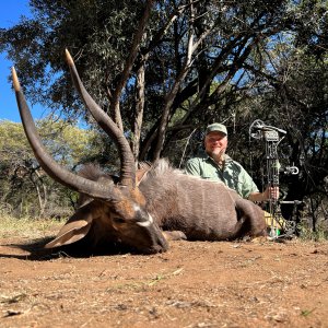 Nyala Bow Hunt South Africa