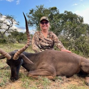 Black Impala Hunt South Africa