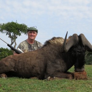 Black Wildebeest Hunt