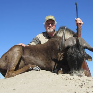 Black Wildebeest Hunt Namibia