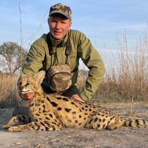 Serval Cat Hunt Zambia