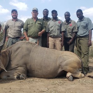 Eland Hunting Zimbabwe