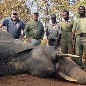 Elephant Hunting Zimbabwe