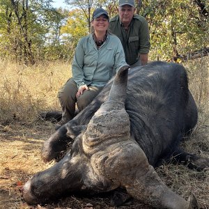 Buffalo Hunting Zimbabwe