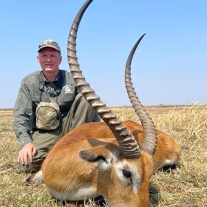 Lechwe Hunt Zamibia