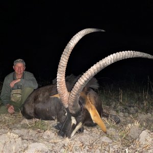 47.25 Inch Sable Hunt Zambia