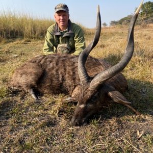 Sitatunga Hunt Zambia