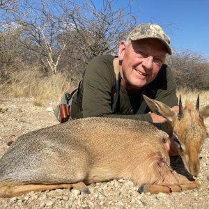 Damara Dik-Dik Hunt Namibia