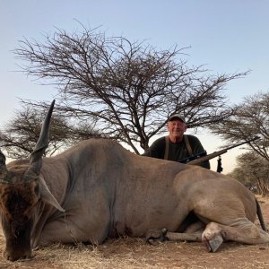 Eland Hunting Namibia