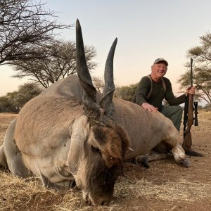 Eland Hunting Namibia