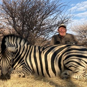 Zebra Hunting Namibia