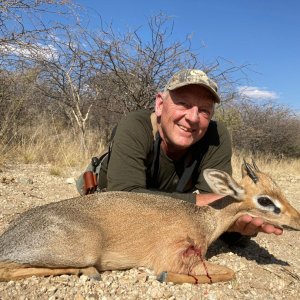 Damara Dik-Dik Hunting Namibia