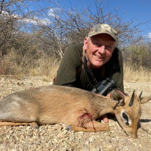 Damara Dik-Dik Hunting Namibia