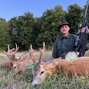 Roe Deer Hunting Romania