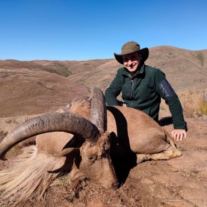 Barbary Sheep Hunting