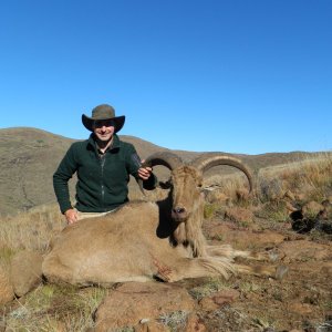 Hunting Barbary Sheep Eastern Cape