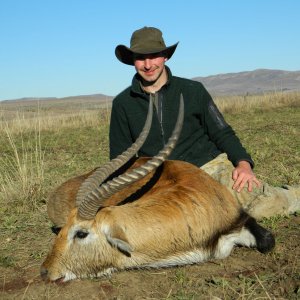 Lechwe South Africa