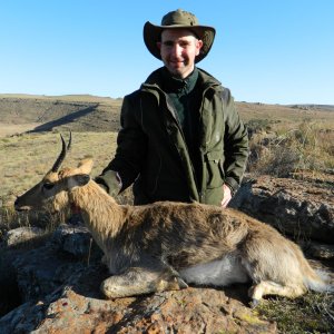 Eastern Cape Mountain Reedbuck