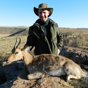 Second Regrowth Mountain Reedbuck