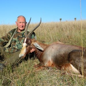 Hunting Blesbok Eastern Cape