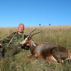 South Africa Blesbok