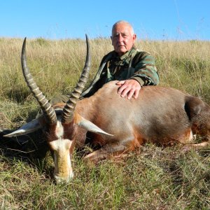 Old Solitary Blesbok