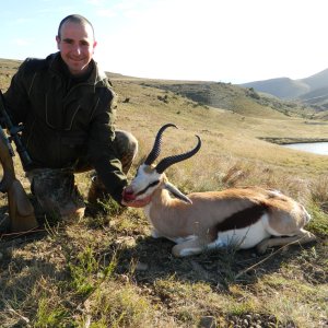 Hunting Springbok South Africa