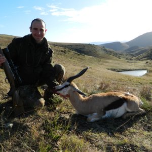 Springbok Eastern Cape