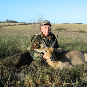 Common Reedbuck Eastern Cape