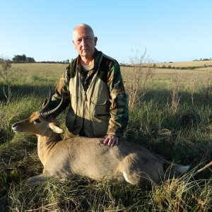 Common Reedbuck South Africa